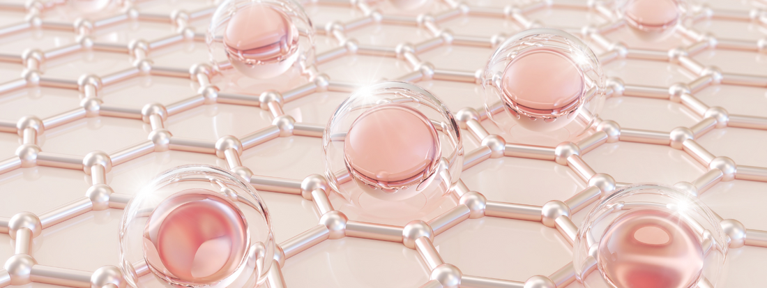 What is Collagen Type II