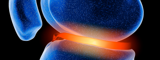 Collagen sourced from cartilage Vs skin: What's the difference?